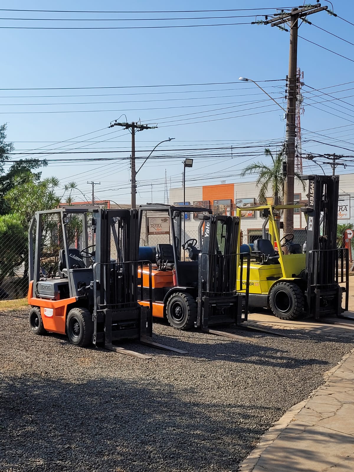 WhatsApp Image 2024-10-28 at 08.41.19.jpeg